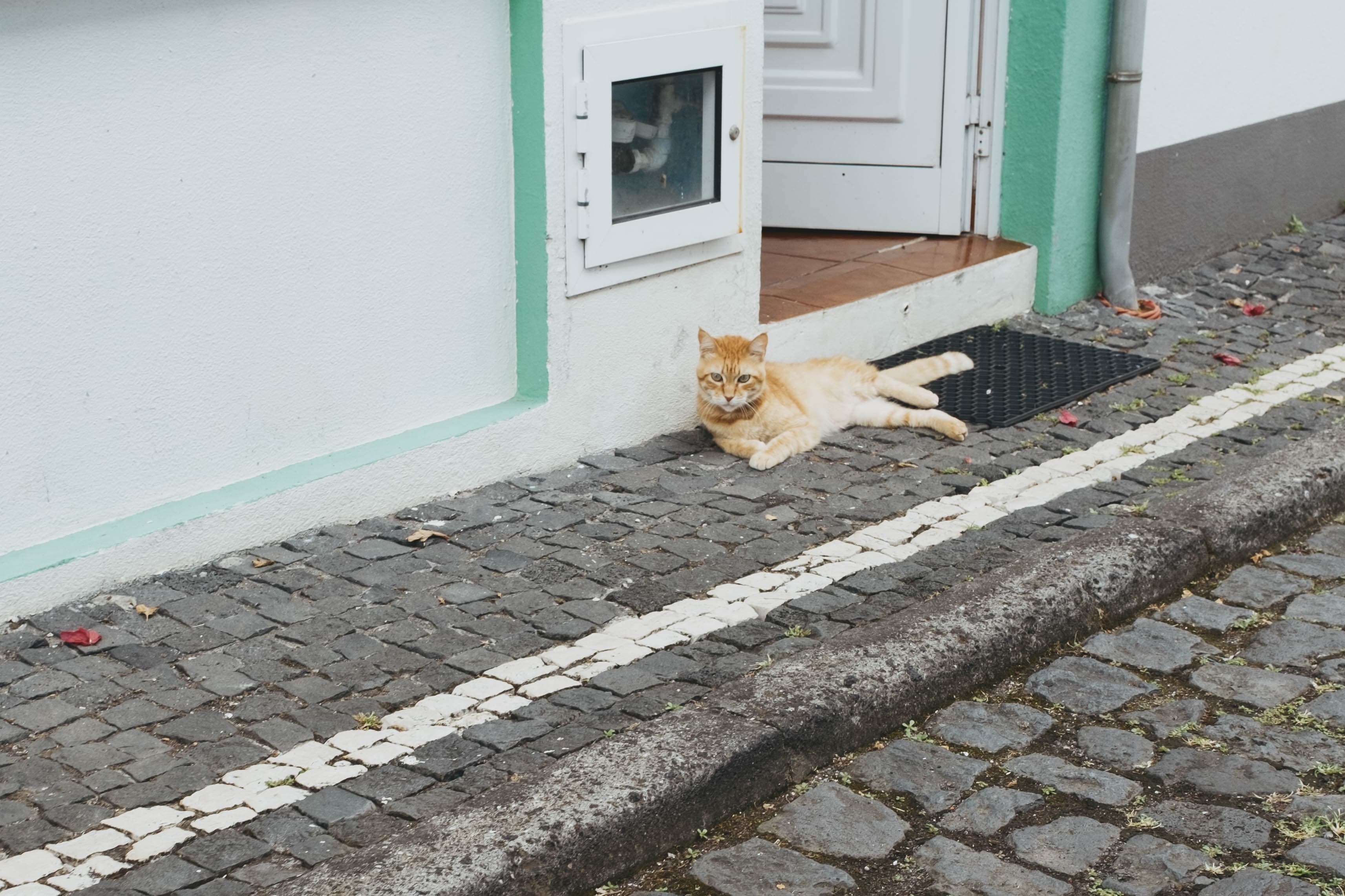 Orange tabby cat lying on traditional Portuguese cobblestone pavement in front of a white house with mint green trim in the Azores. The cat rests near the building's entrance, which features a white door, small window, and terracotta tile threshold. A black doormat sits beside the entrance on the characteristic basalt stone street typical of Azorean villages.