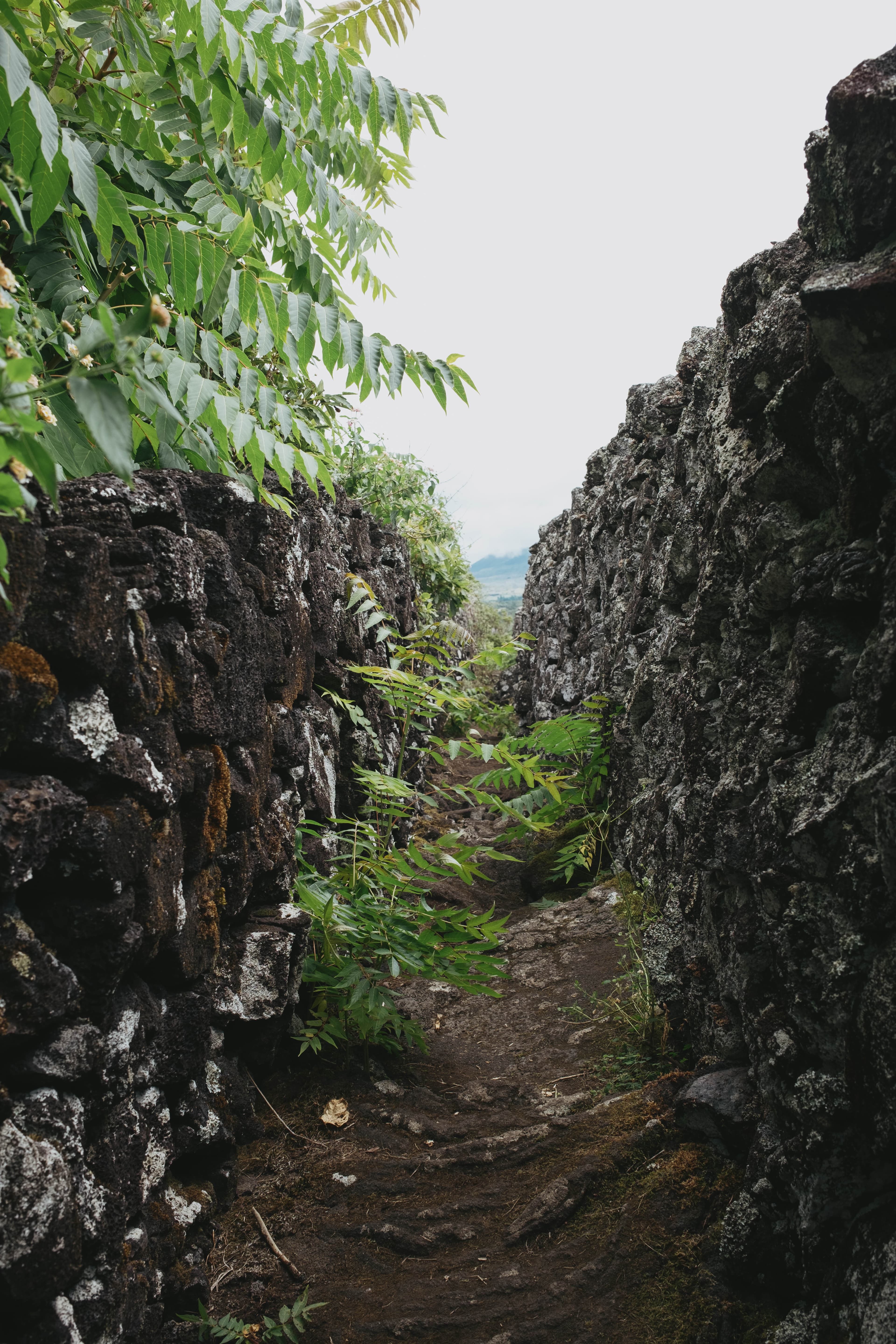 Narrow stone-stepped pathway cutting through towering volcanic rock walls, with lush ferns and tropical vegetation growing from the crevices.