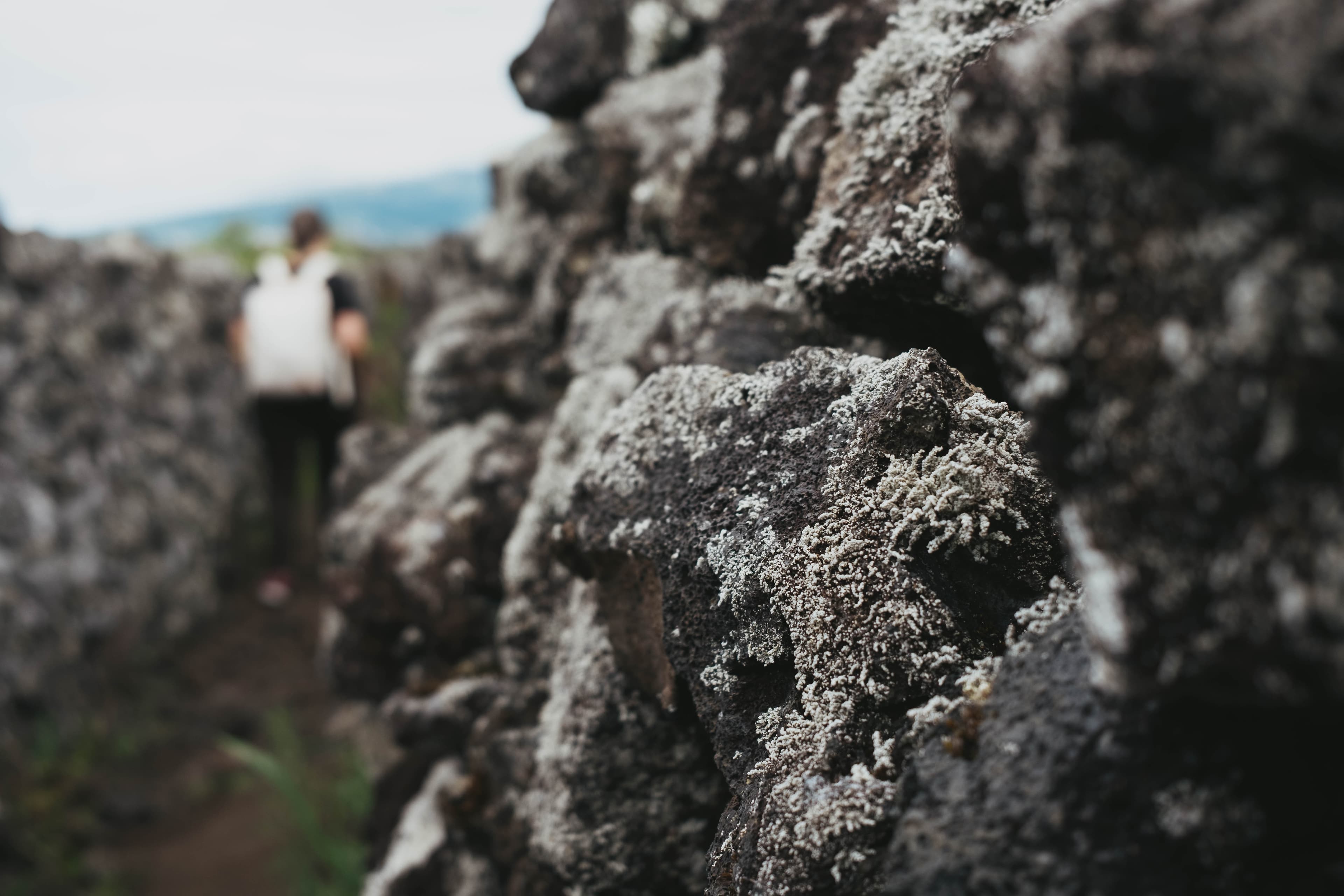 Close-up detail of weathered volcanic rock with lichen growth, showing the textured surface of traditional stone walls with a blurred figure walking in the background.