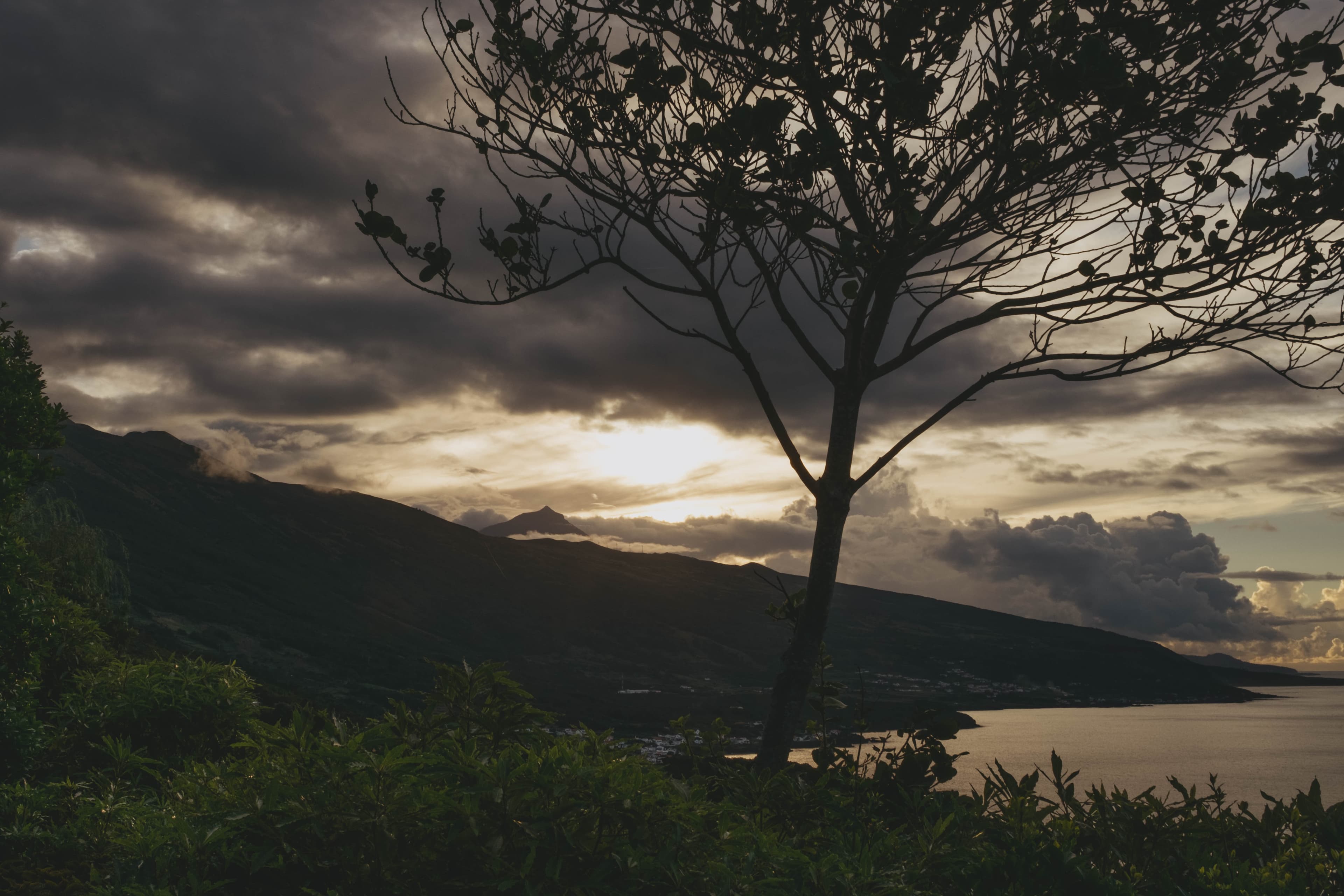 Silhouetted bare tree overlooking a lake at sunset, with dramatic clouds and golden light breaking through above rolling hills and Pico volcano