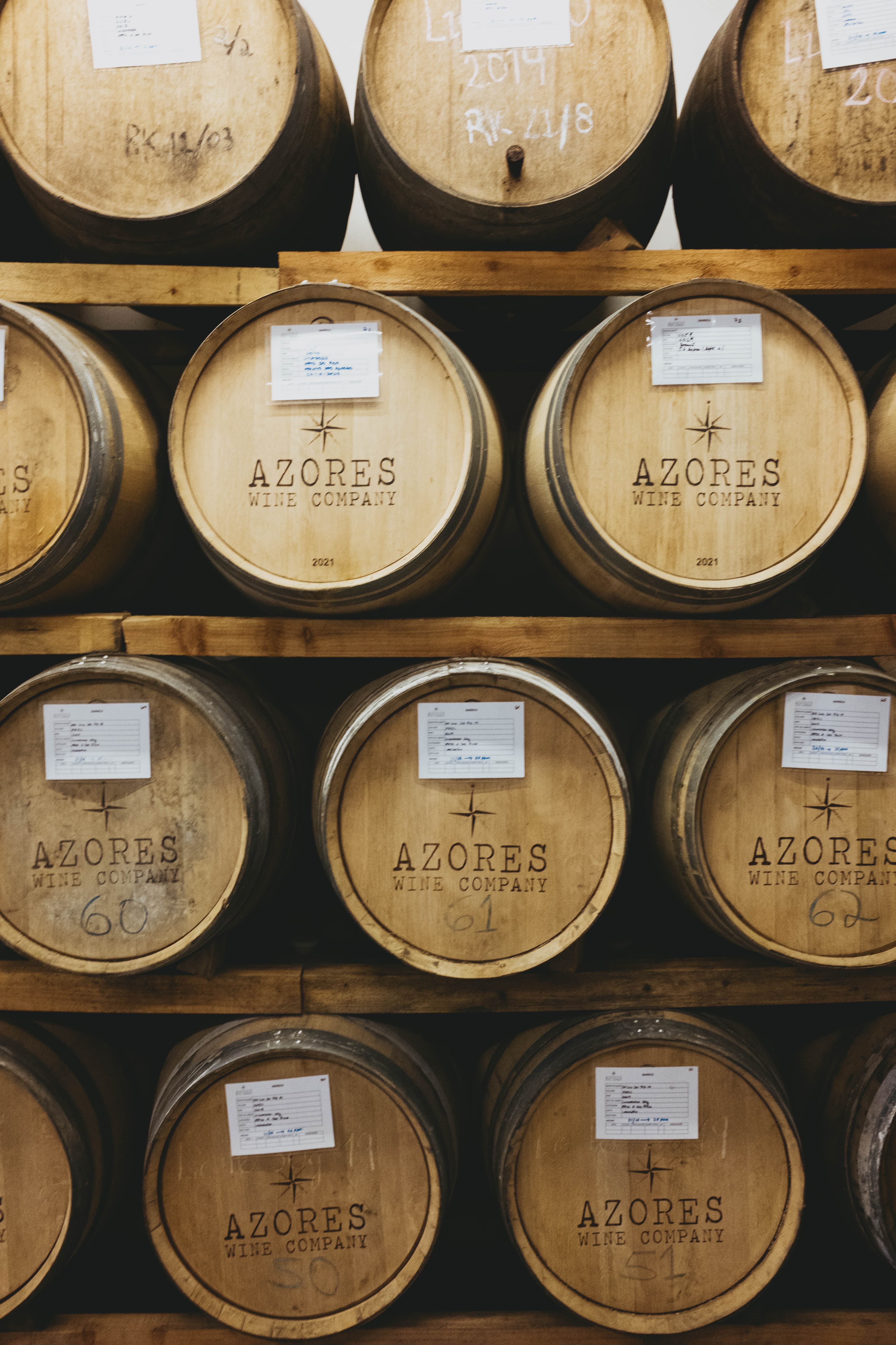 Wooden wine barrels stacked in rows at Azores Wine Company cellar, each branded with the company logo and numbered, with aging documentation labels attached to track the wine maturation process.