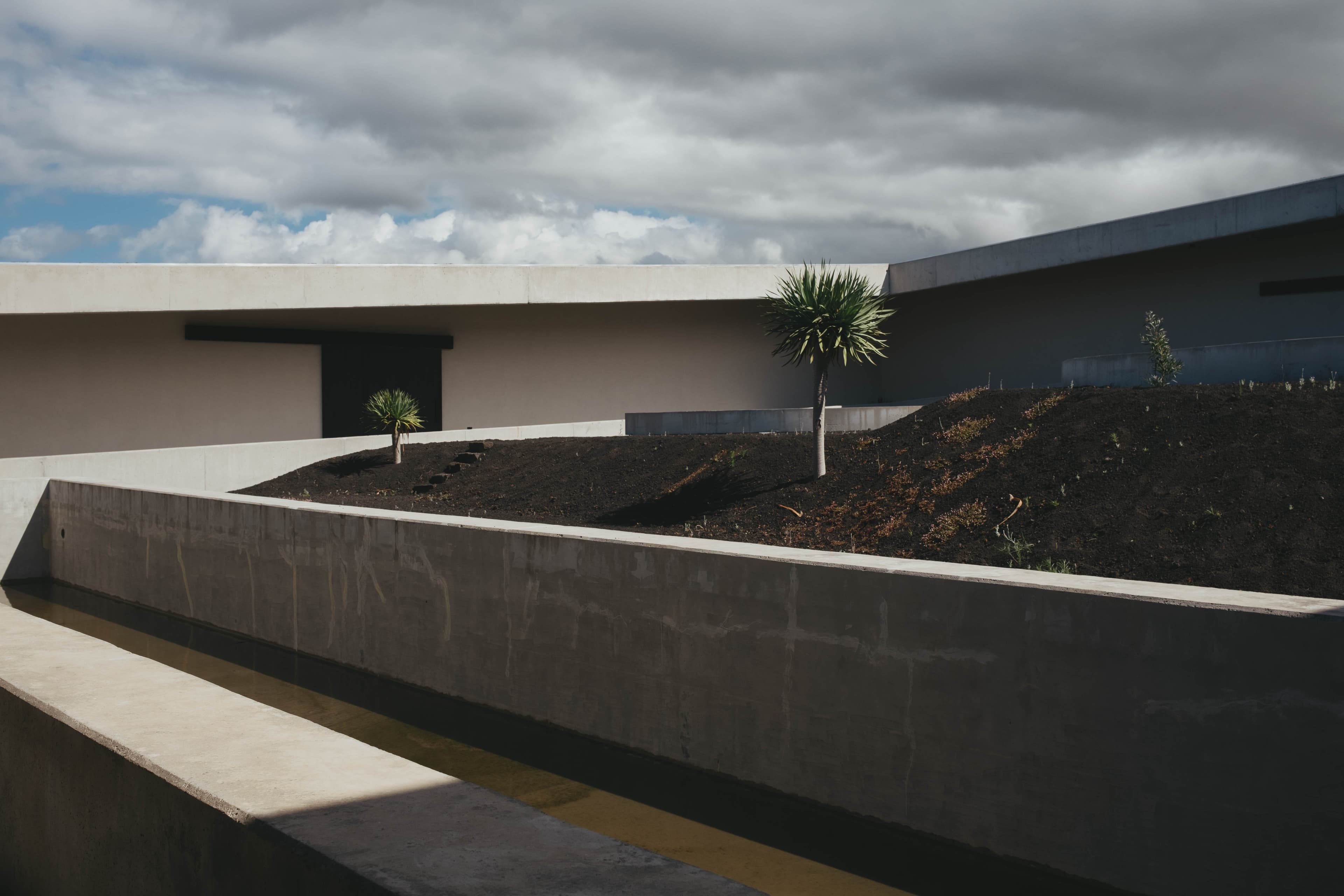 Modern concrete architecture with geometric lines at Azores Wine Company, featuring native palm-like plants